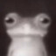 Rheo
