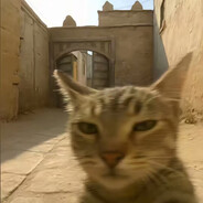 不糖不会打游戏