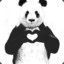 PANDA_UA