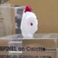 Finally, Rock Chicken