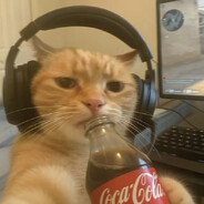 LilMeow - steam id 76561199633235187