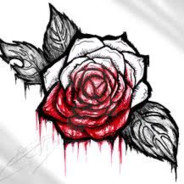 RØSE - steam id 76561197961367093