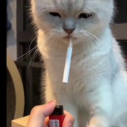 哈欠打到下巴脱臼HQTJ