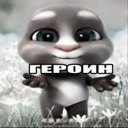 lapkitapok