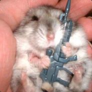 ny acc add asge123123