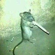 Rato fumano singaro