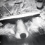 SkankingFuchs