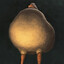 Mr Ping