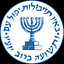 Mossad Agent