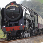 ✨🔥美咕噜是爹🔥✨