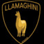 LLAMAGHINI