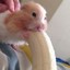 i love banana