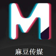 麻1豆1传媒文化有限公司