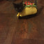 taco cat