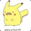 Pikastache