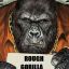 RoughGorilla