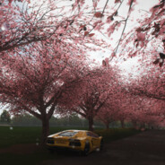 我的台灯有电了