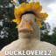 DuckLover12