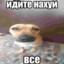 ебланафт1337