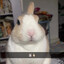 Nnuy
