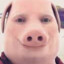 JOHN PORK