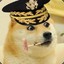 Admiral doge