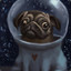 Space Pug