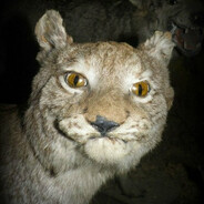 V Z'a п0н0сПутина