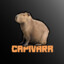 CAPIVARA_CWB