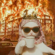 _CrazyCatLady_