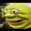 SHRONK