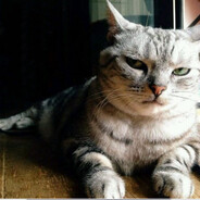 星露谷的杰洛特