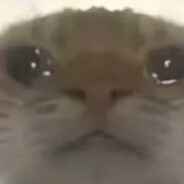 哈基米我难卖绿豆