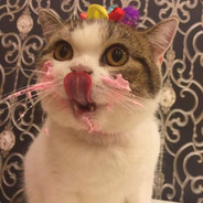 Vary Soft Kitter Eating Cake