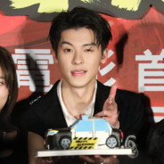 脆弱敏感小石头