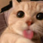 Mitty
