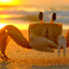 CarbonCrab