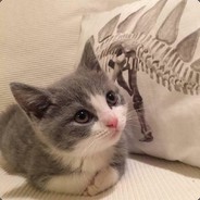 今日食双层吉士定系板烧鸡腿