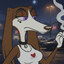 CamTheSaluki