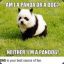 The Pandog