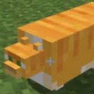 Nyoom's Avatar