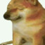 AdrianCincoCero
