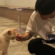 小小小小小新耶