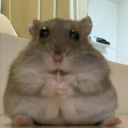 hanniballistic