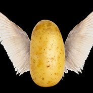 HolyPotato