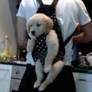 ちゃんとねる。