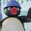 pingu