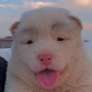 悍匪也曾流过泪