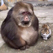 Дядя Федор Тренер