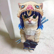 franciccjo